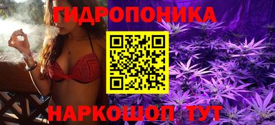 гашиш Заводоуковск