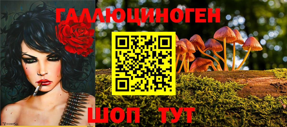 хочу наркоту  Псилоцибиновые грибы мухоморы  Вход с VPN  Псилоцибиновые грибы мицелий  Малоярославец 